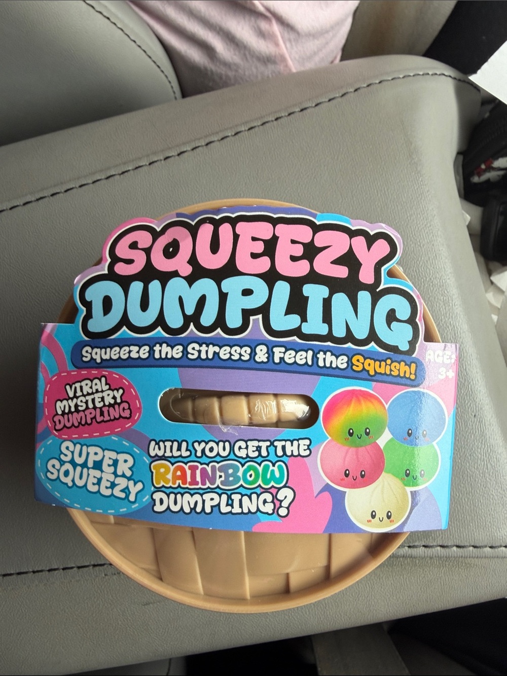 Mystery Dumpling